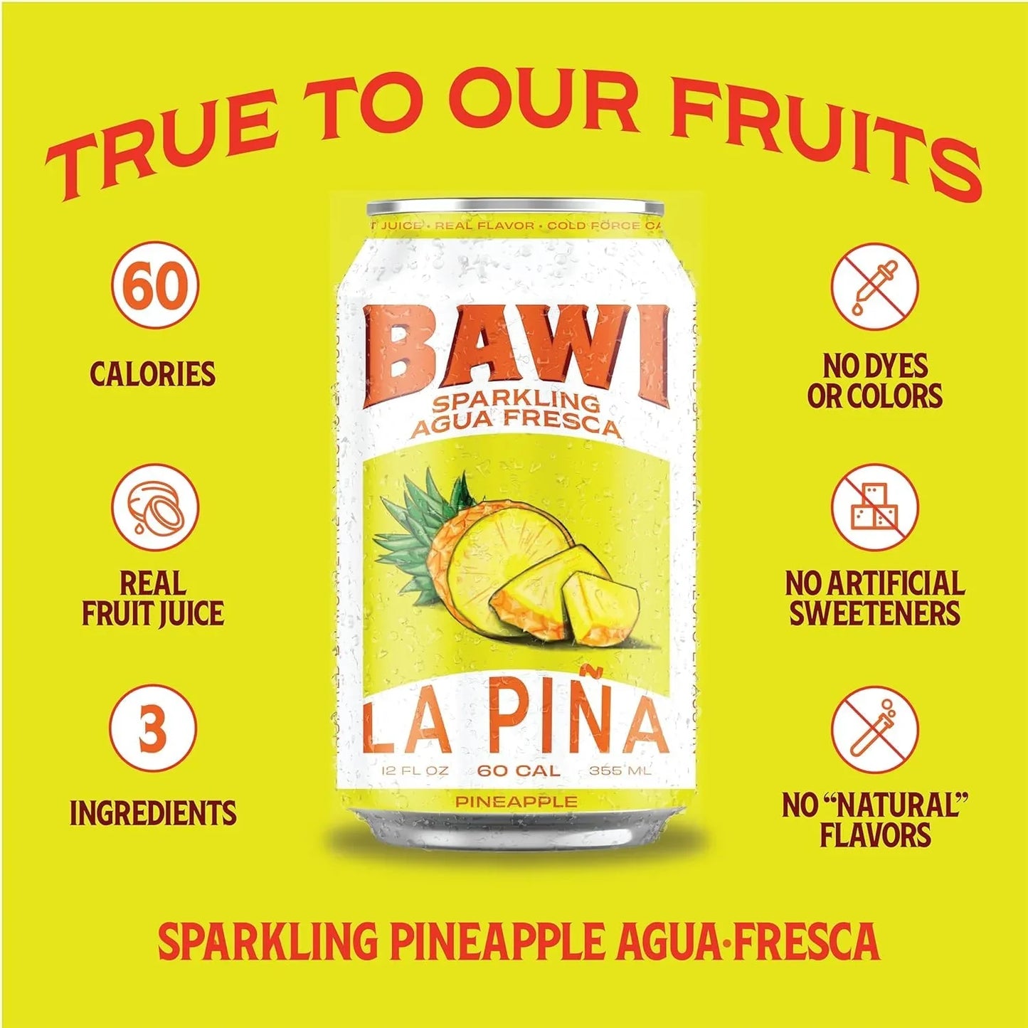 Sparkling Agua Fresca Variety (4 Pack)