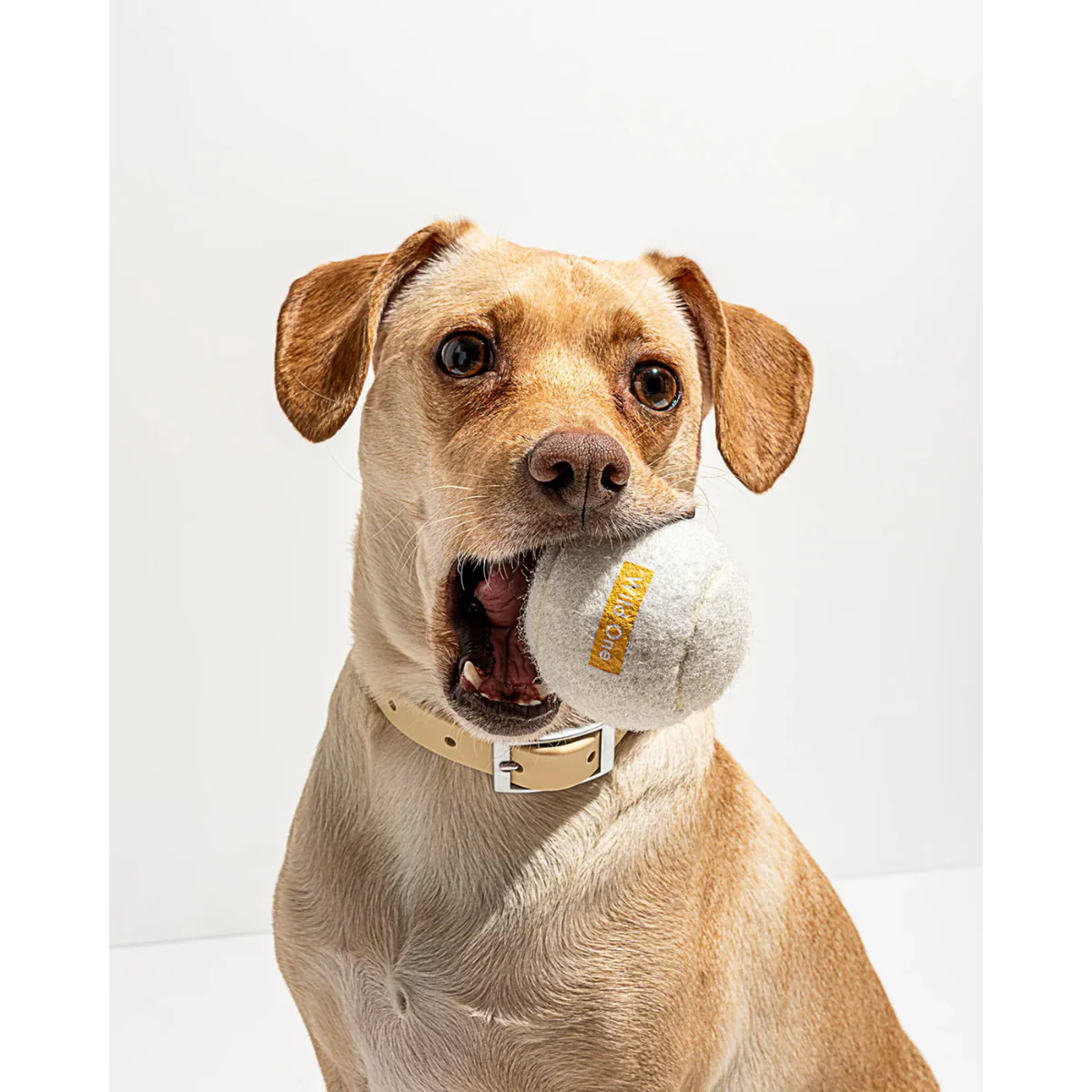 Tennis Balls - Standard - White (4 CT)
