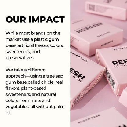 Raspberry Plant Based Gum (12 Pack)