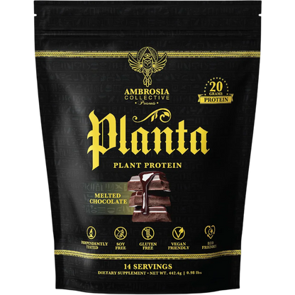 Chocolate Plant Protein