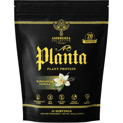 Vanilla Plant Protein