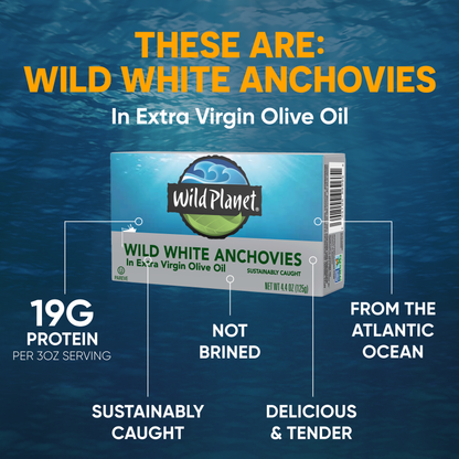 Wild White Anchovies In Extra Virgin Olive Oil