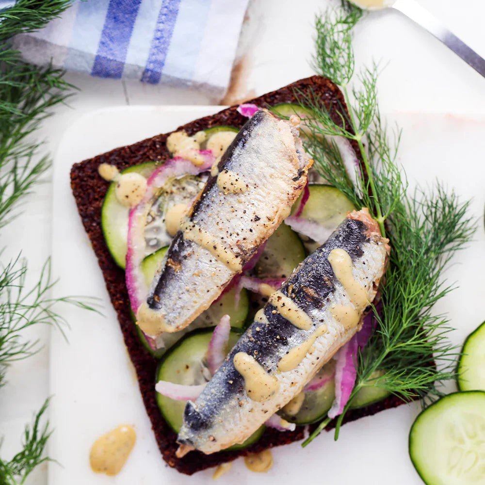 Wild Sardines In Water