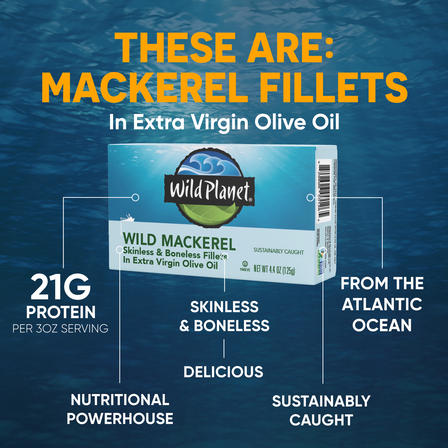 Wild Mackerel Fillets In Extra Virgin Olive Oil