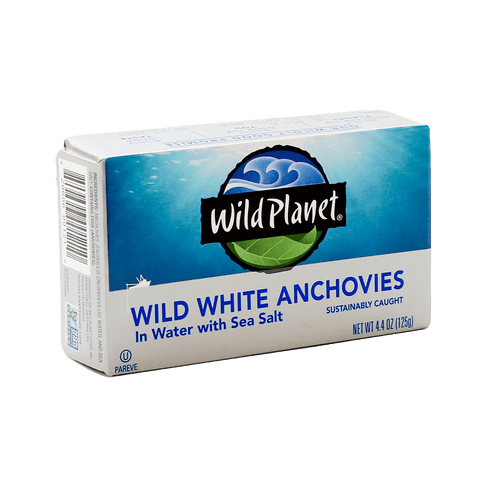 Wild White Anchovies In Water
