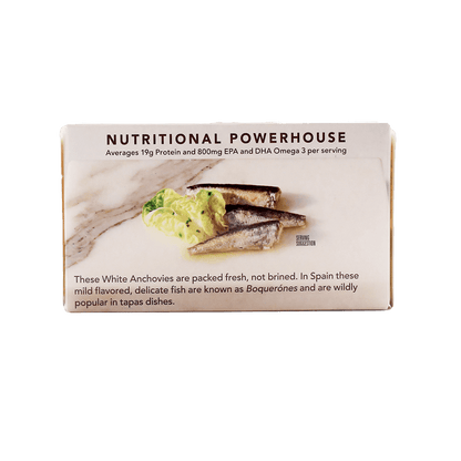 Wild White Anchovies In Water