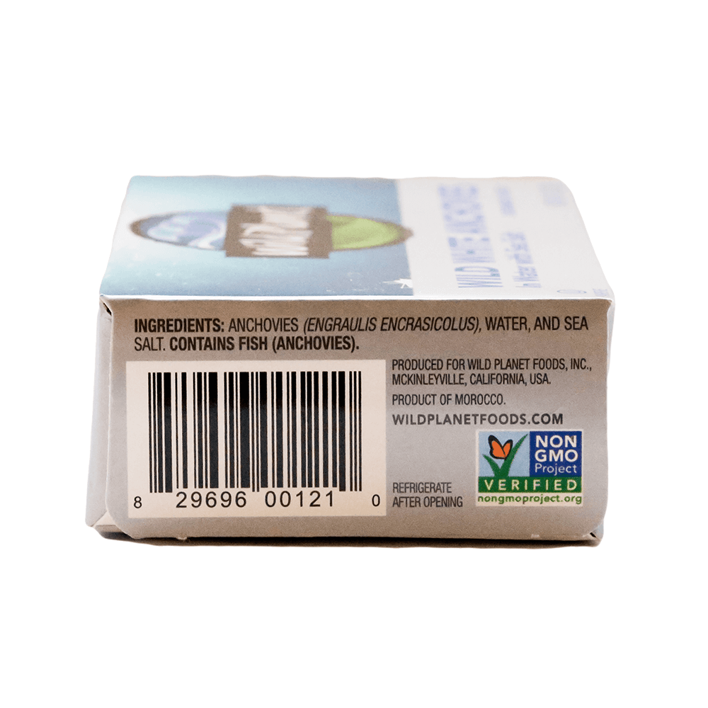 Wild White Anchovies In Water