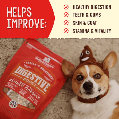 Stella’s Solutions Digestive Support for Dogs