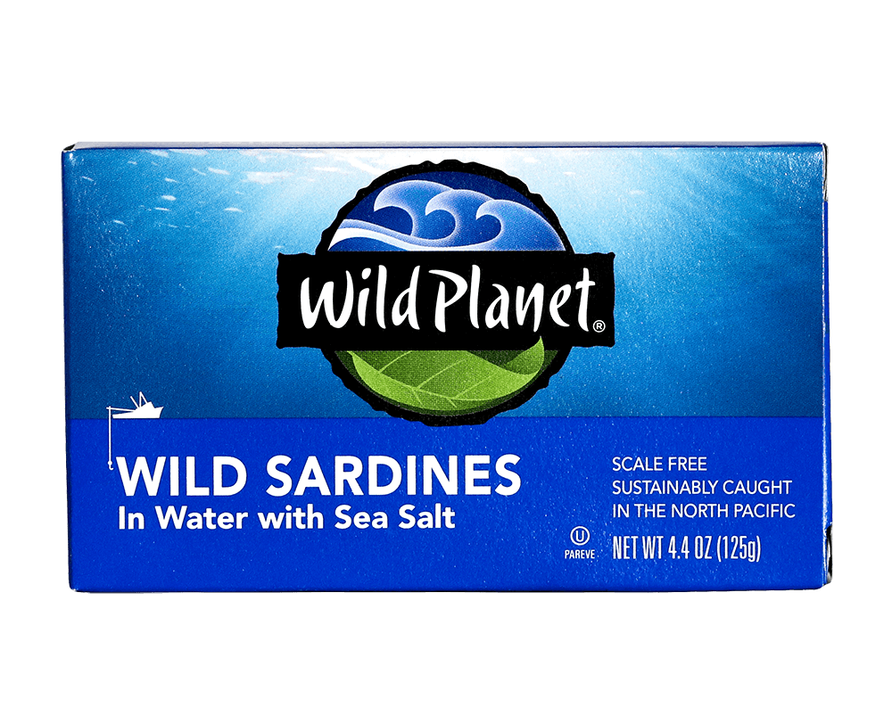 Wild Sardines In Water