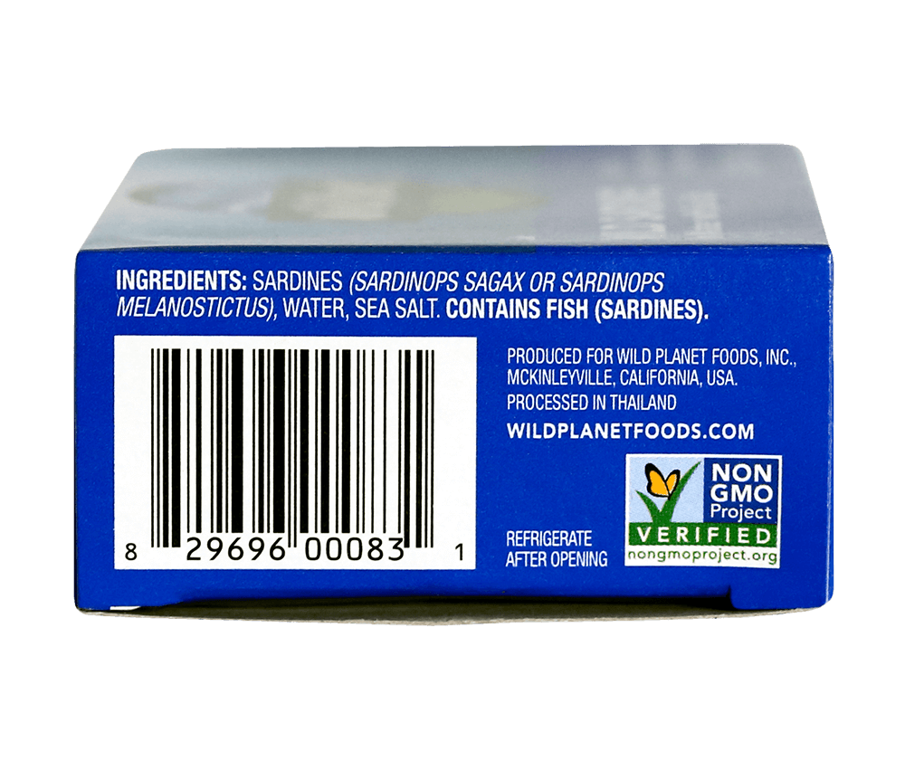 Wild Sardines In Water