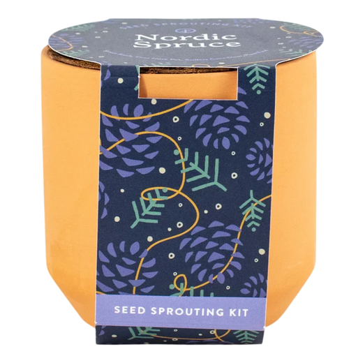Tiny Terracotta Kit- Nordic Spruce