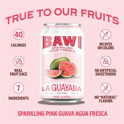 Sparkling Agua Fresca Variety (4 Pack)